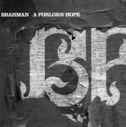 Brahman : A Forlorn Hope